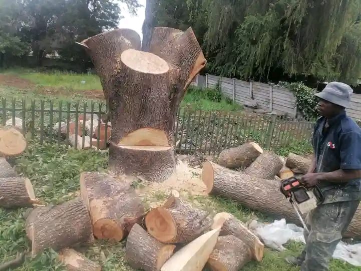 WhatsApp Image 2026 03 13 At 20.43.08