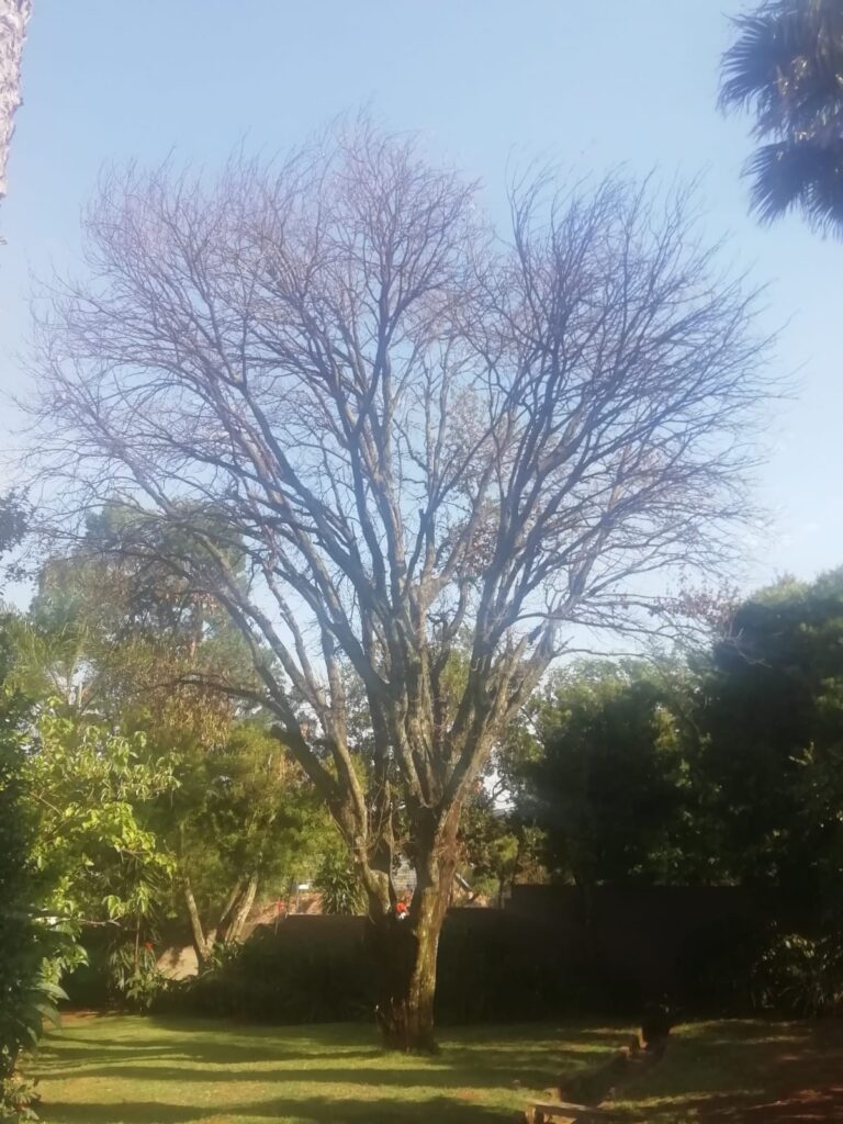 WhatsApp Image 2026 03 13 At 20.43.14 768x1024