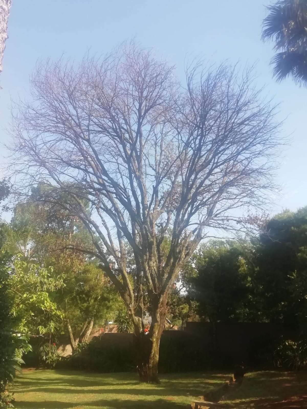 WhatsApp Image 2026 03 13 At 20.43.14