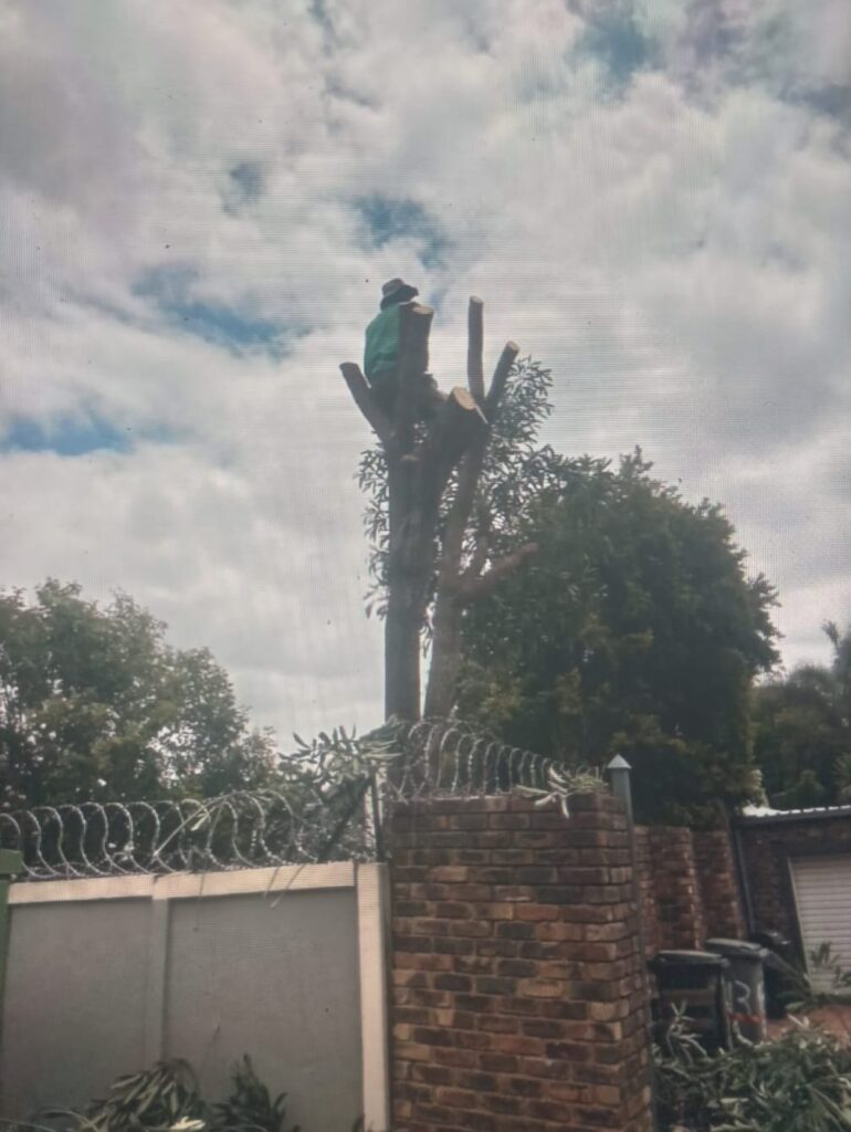 WhatsApp Image 2026 03 13 At 20.43.15 770x1024