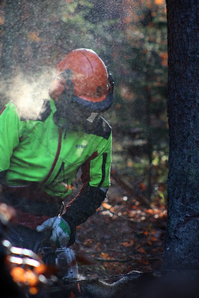 Lumberjack in vibrant gear cuts through forest tree with chainsaw, highlighting autumn hues.