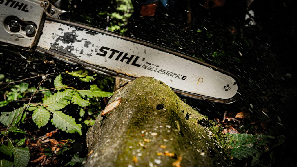 Powerful chainsaw slicing through a tree log in a dense forest in Hohenstein, Germany.