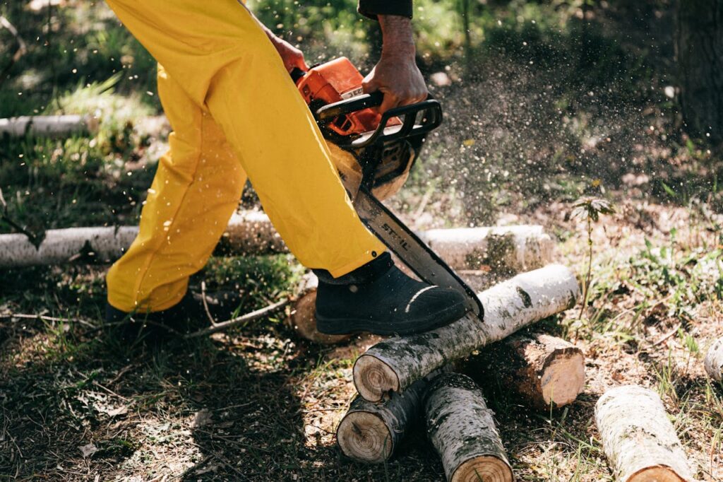 Lower body of crop unrecognizable woodcutter in yellow protective workwear cutting woods with powerful modern chainsaw while working in forest on sunny day