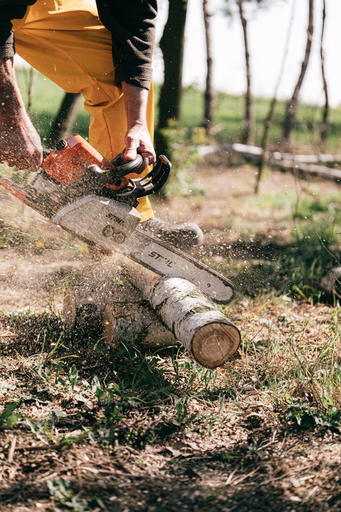 A lumberjack skillfully operating a chainsaw to cut logs in a forest setting.