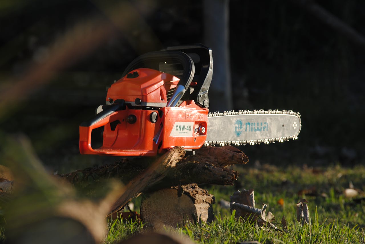 Red chainsaw on a tree log in an outdoor setting, highlighting cutting tools and equipment.